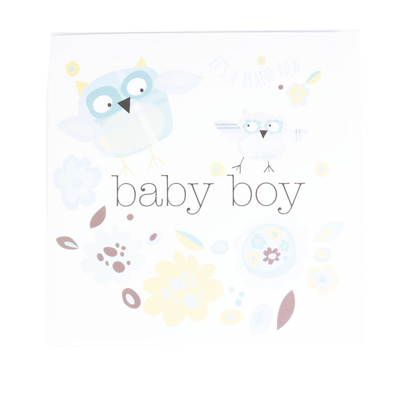 Baby Boy Owl Postcard