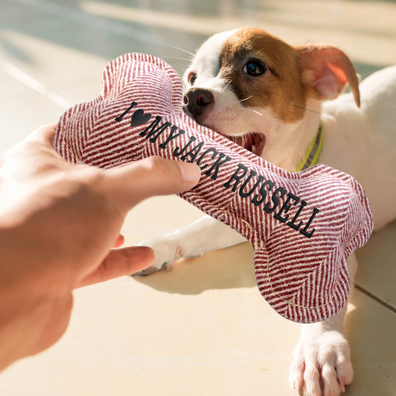 Squeaky Bone Dog Toy Best Dog Ever