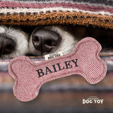 Squeaky Bone Dog Toy Bailey