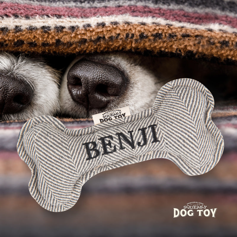 Squeaky Bone Dog Toy Benji