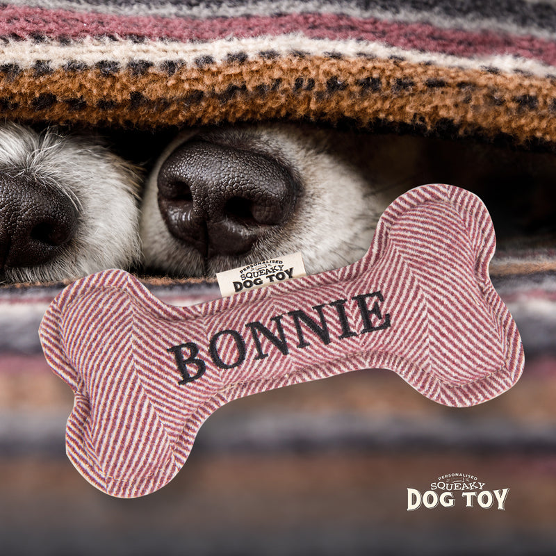 Squeaky Bone Dog Toy Bonnie