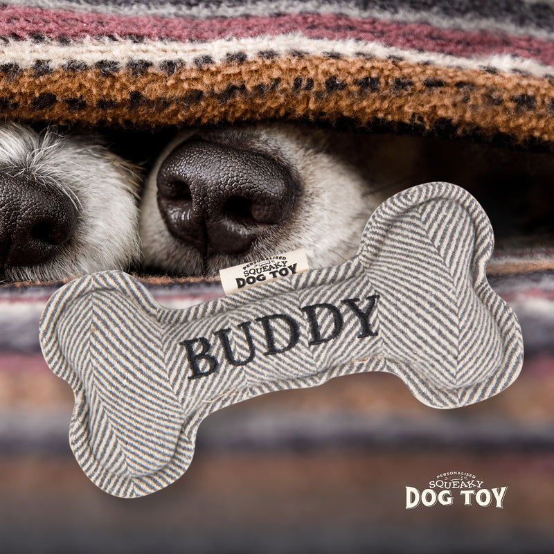 Squeaky Bone Dog Toy Buddy