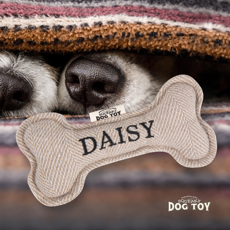 Squeaky Bone Dog Toy Daisy