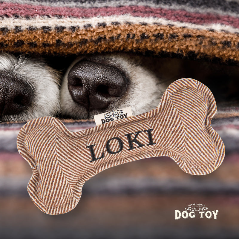 Squeaky Bone Dog Toy Loki