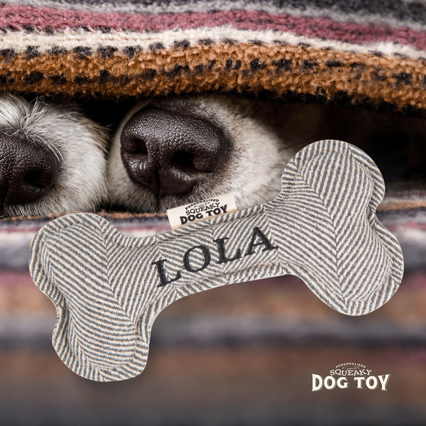 Squeaky Bone Dog Toy Lola