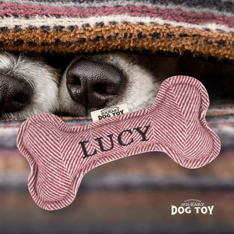 Squeaky Bone Dog Toy Lucy