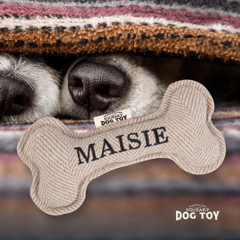 Squeaky Bone Dog Toy Maisie