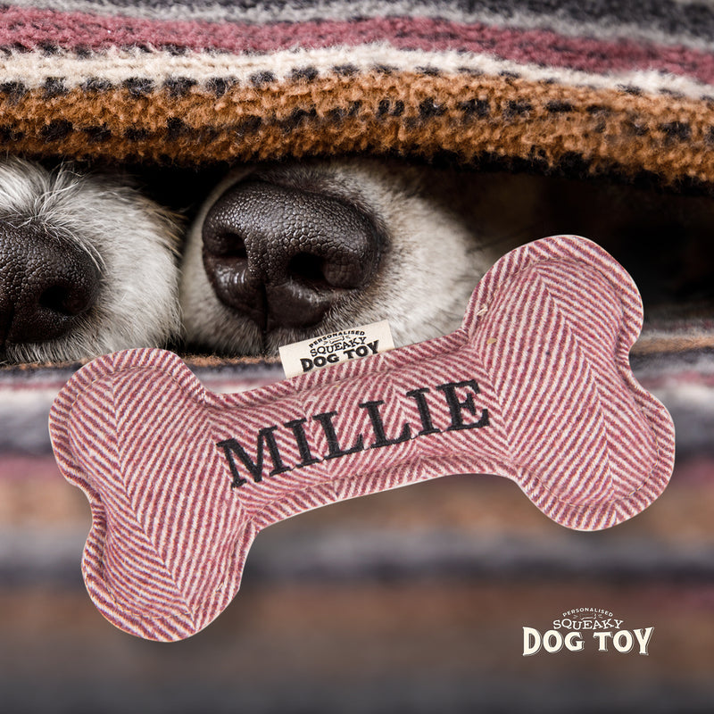 Squeaky Bone Dog Toy Millie