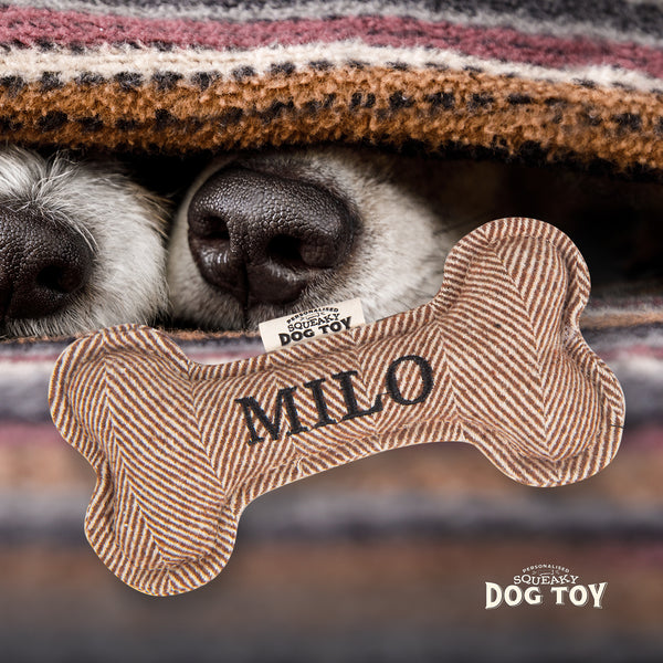 Squeaky Bone Dog Toy Milo