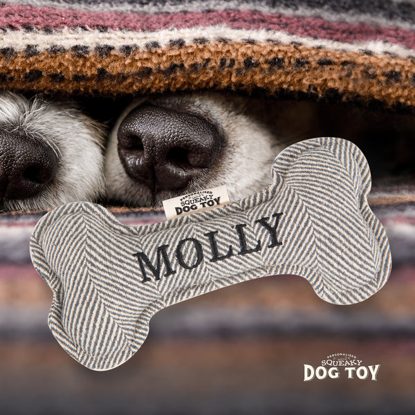 Squeaky Bone Dog Toy Molly