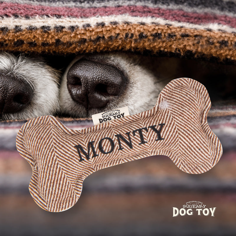 Squeaky Bone Dog Toy Monty