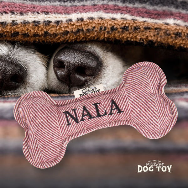 Squeaky Bone Dog Toy Nala