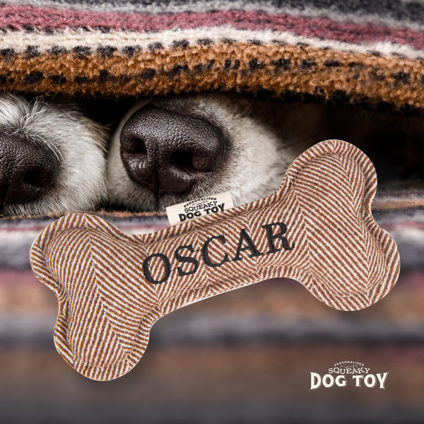 Squeaky Bone Dog Toy Oscar