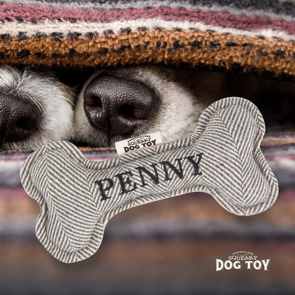 Squeaky Bone Dog Toy Penny