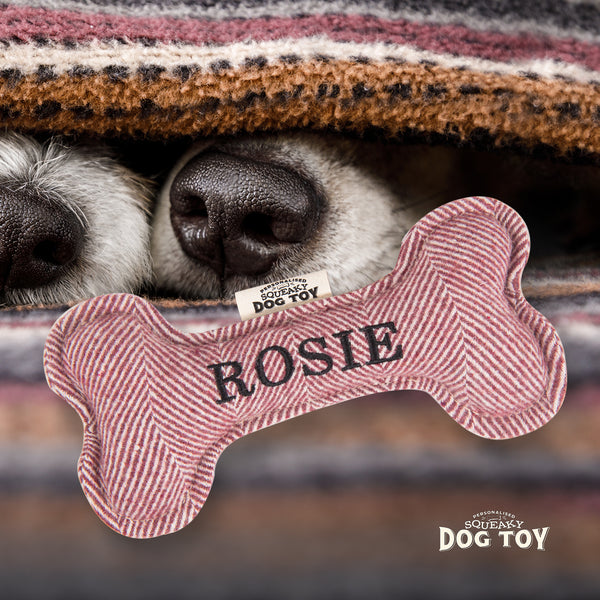 Squeaky Bone Dog Toy Rosie