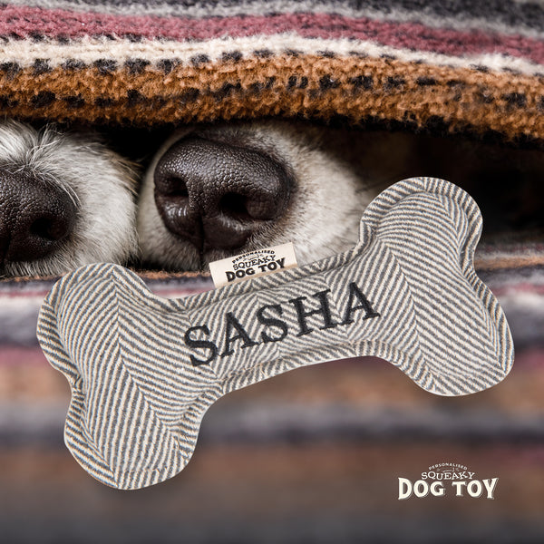 Squeaky Bone Dog Toy Sasha