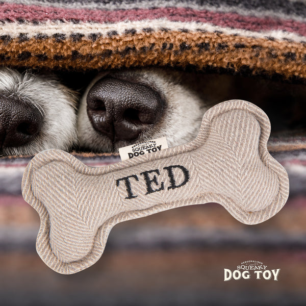 Squeaky Bone Dog Toy Ted