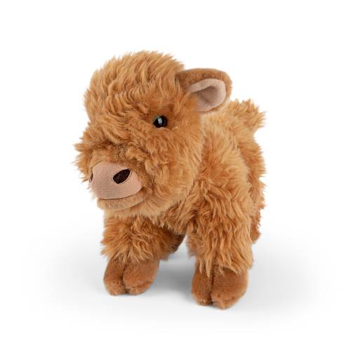 Highland Cow Calf