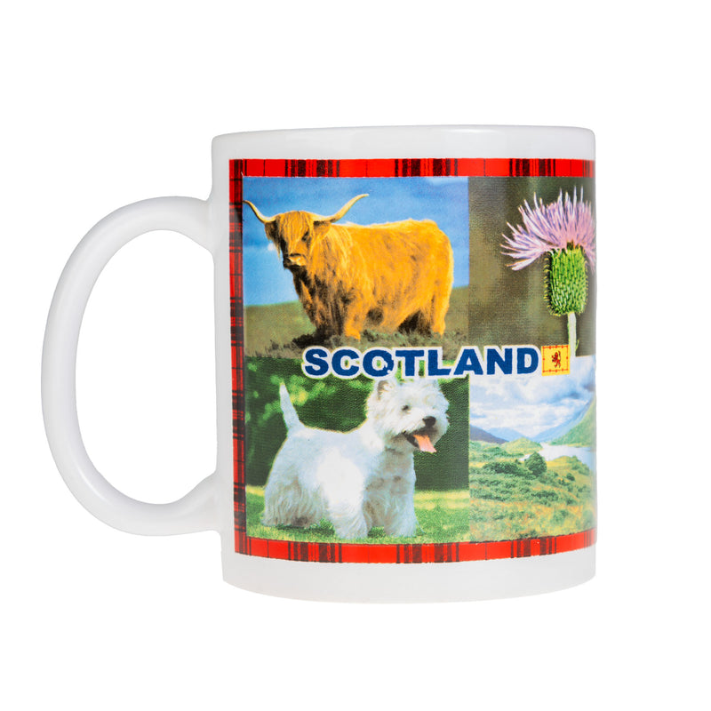 Mug White - Scotland Picture