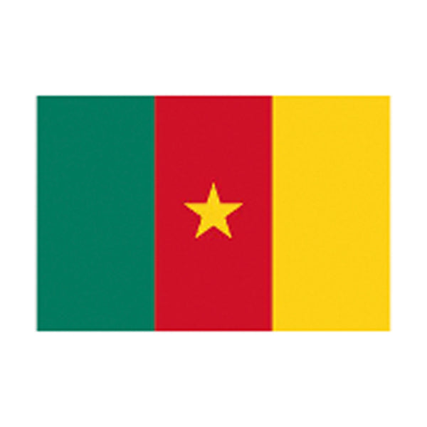 5X3 Flag Cameroon