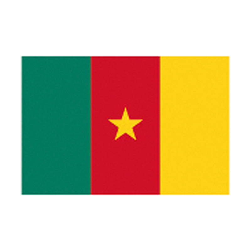 5X3 Flag Cameroon