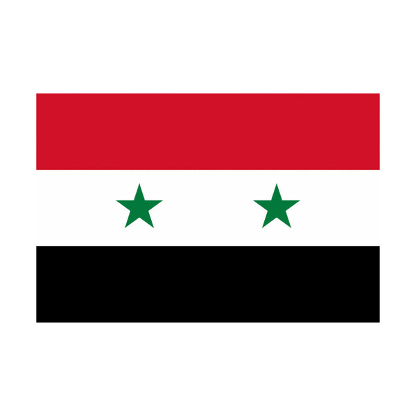 5X3 Flag Syria