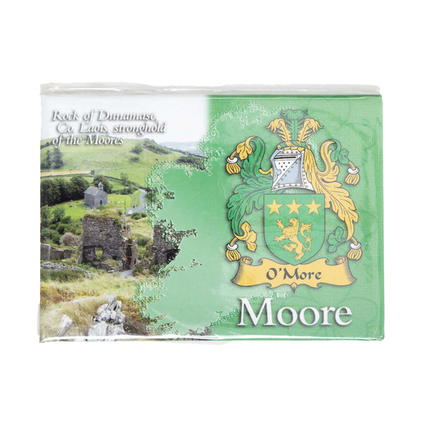 Clan/Family  Scenic Magnet Moore