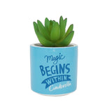 Plant Pot Faux Boxed (6.5Cm) - Disney Ci