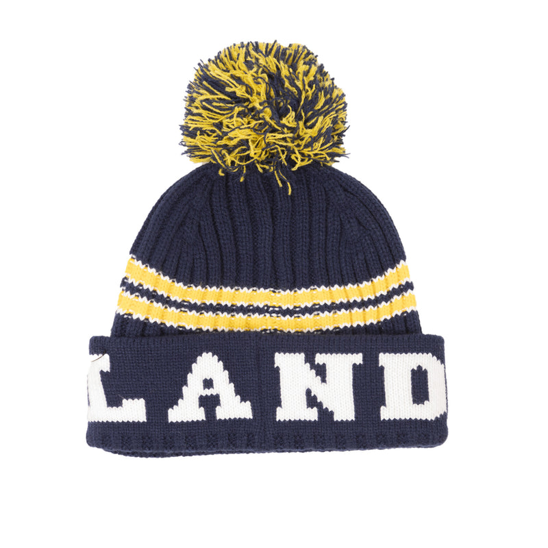 Scotland Football Beanie