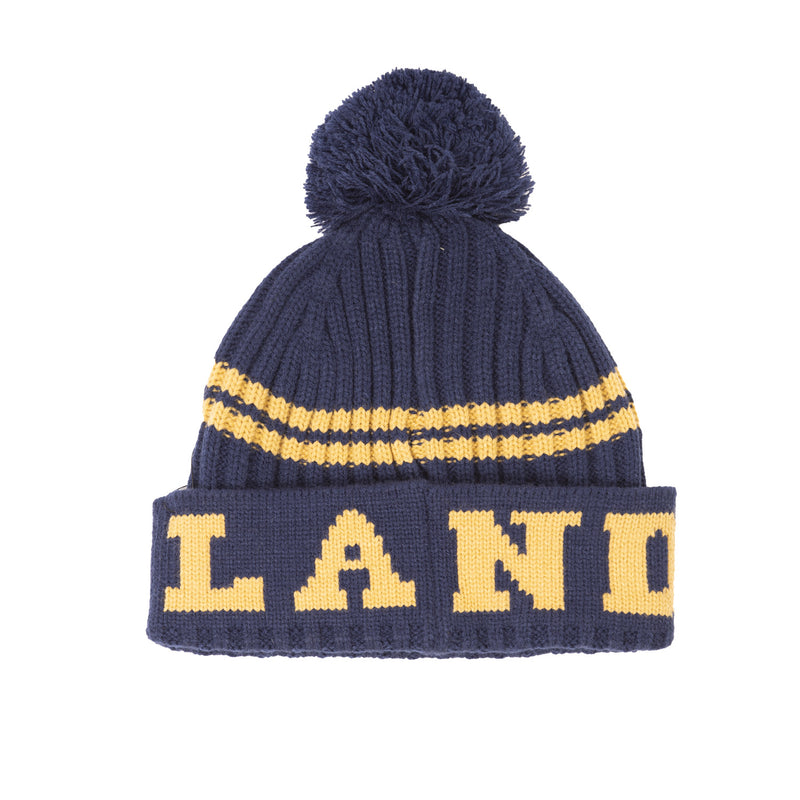 Scotland Football Beanie