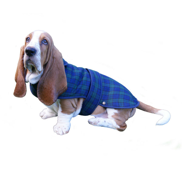 Dog Coat Tartan Sr - Size L Black Watch