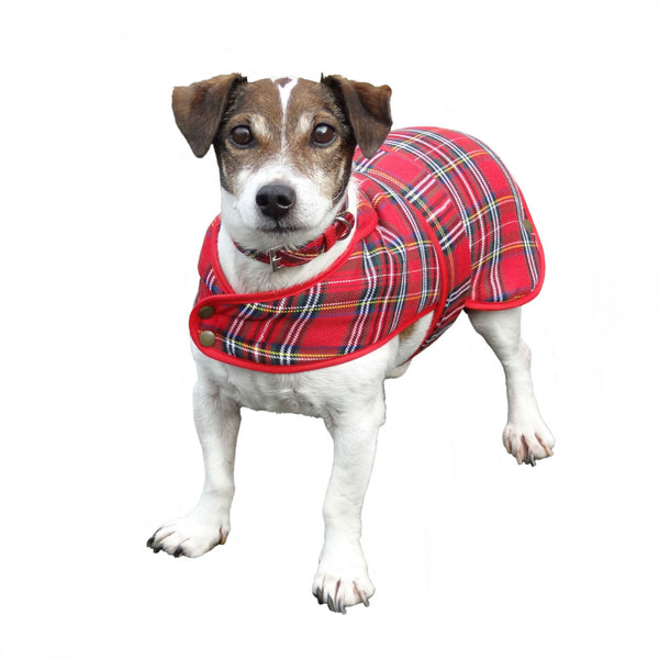 Dog Coat Tartan Sr - Size L Stewart Royal