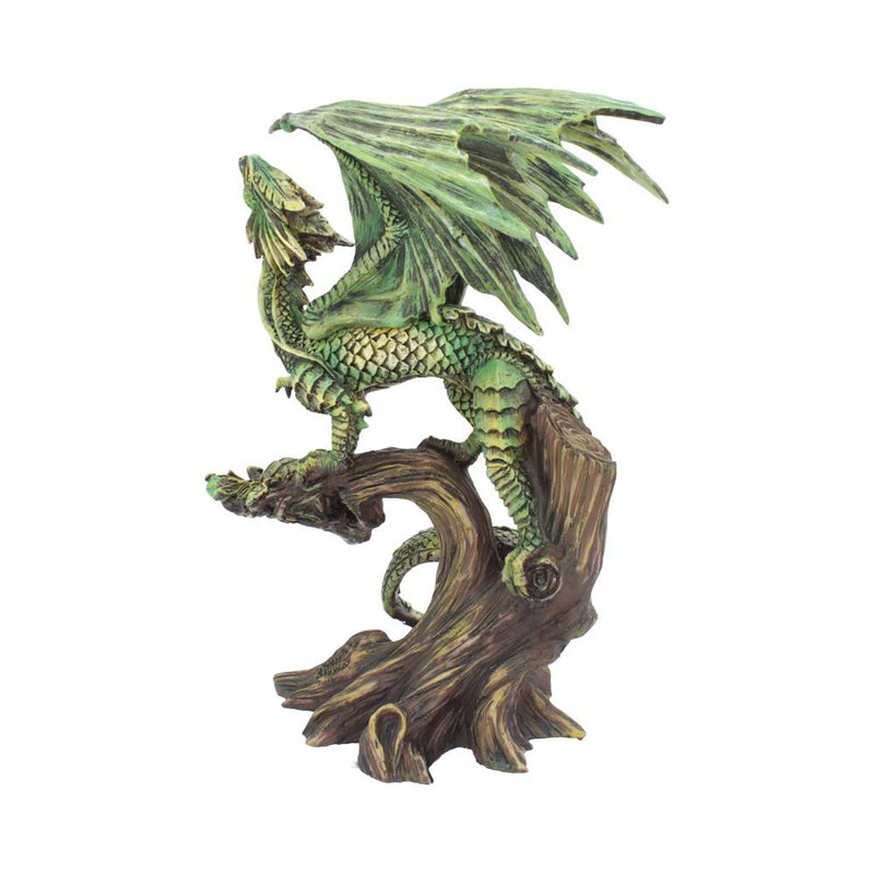 Adult Forest Dragon (As) 25.5Cm