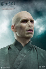 Hp Deathly Hallows Lord Voldemort Fig