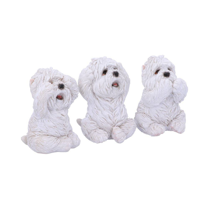 Three Wise Westies