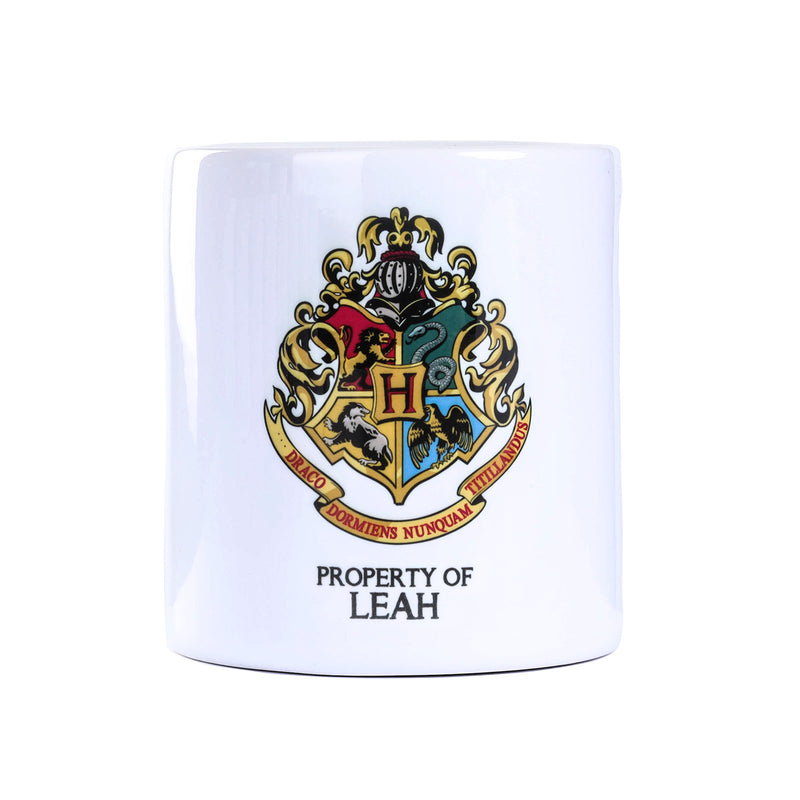 Harry Potter Money Box Leah