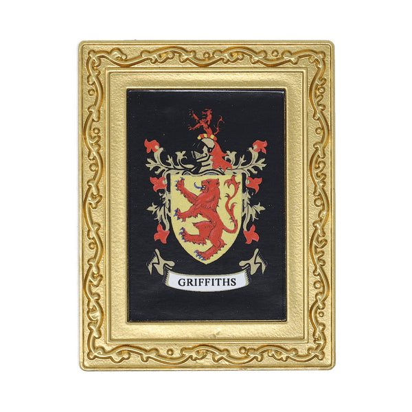 Coat Of Arms Fridge Magnet Griffiths