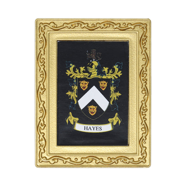 Coat Of Arms Fridge Magnet Hayes