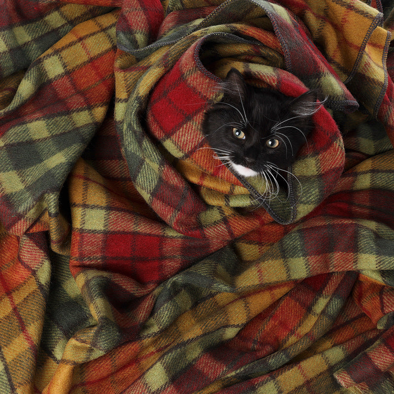 Tartan Pet Blanket Buchanan Autumn