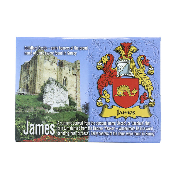 Scenic Metallic Magnet Wales Ni Eng James