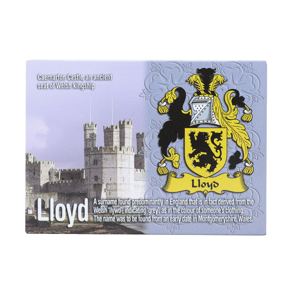 Scenic Metallic Magnet Wales Ni Eng Lloyd