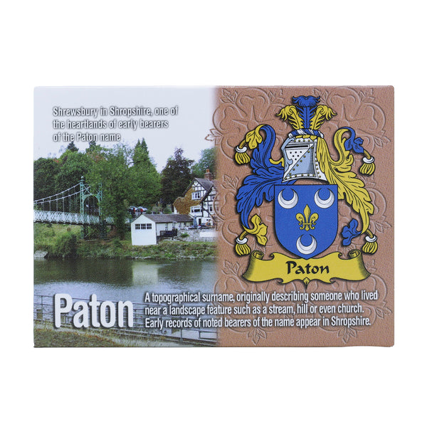 Scenic Metallic Magnet Wales Ni Eng Paton