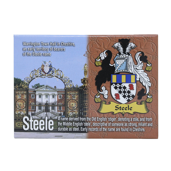 Scenic Metallic Magnet Wales Ni Eng Steele