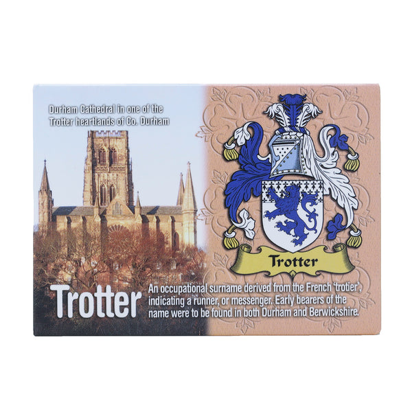 Scenic Metallic Magnet Wales Ni Eng Trotter