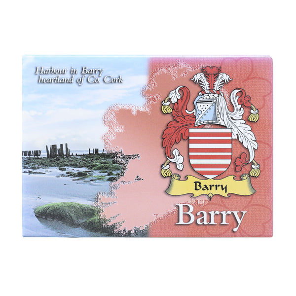 Scenic Metallic Magnet Ireland Barry