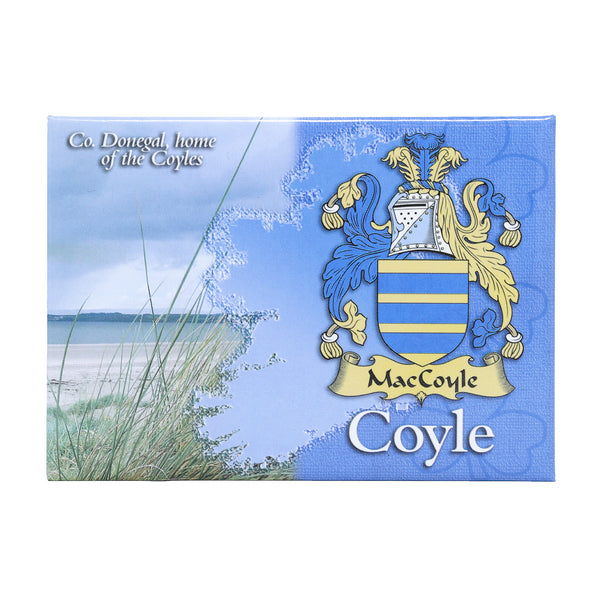 Scenic Metallic Magnet Ireland Coyle