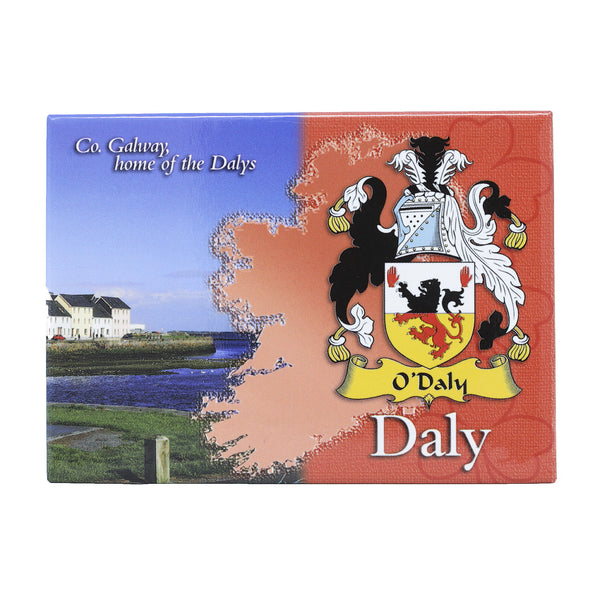 Scenic Metallic Magnet Ireland Daly