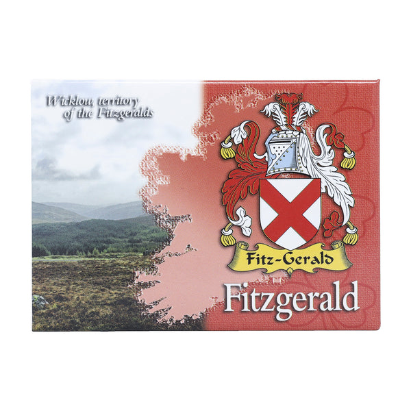 Scenic Metallic Magnet Ireland Fitzgerald