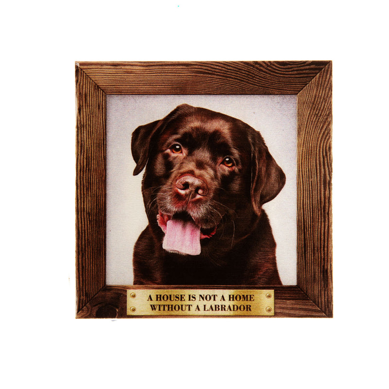 Pet Fridge Magnet Big Labrador Chocholate