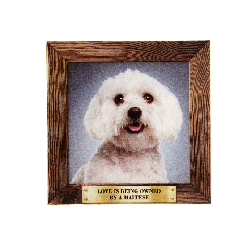 Pet Fridge Magnet Big Maltese